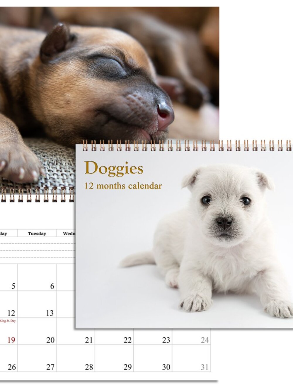 2027 Spiral-bound Wall Calendar (Puppies Dogs) - 12 Months Desktop/Wall Calendar